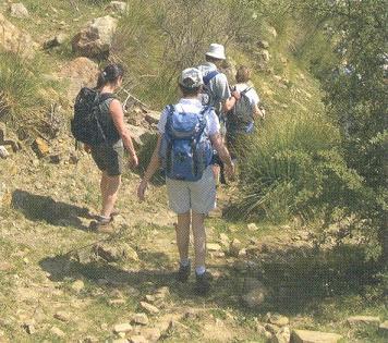 volontari del campo il primo giorno ancora sani e robusti